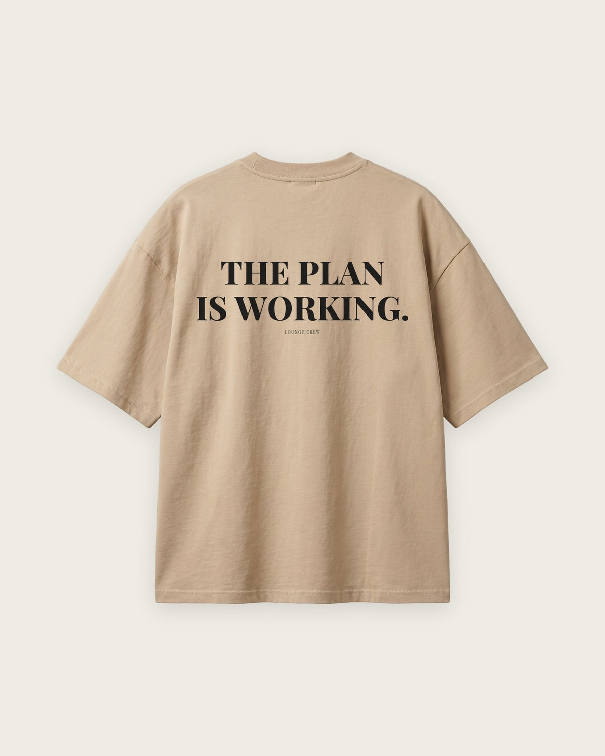 Camiseta Oversized “The Plan Is Working” — Areia