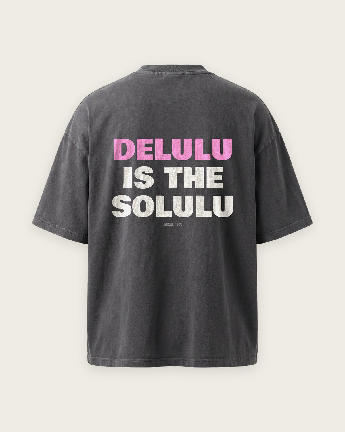 Camiseta Oversized “Delulu Is the Solulu” — Cinza Estonado
