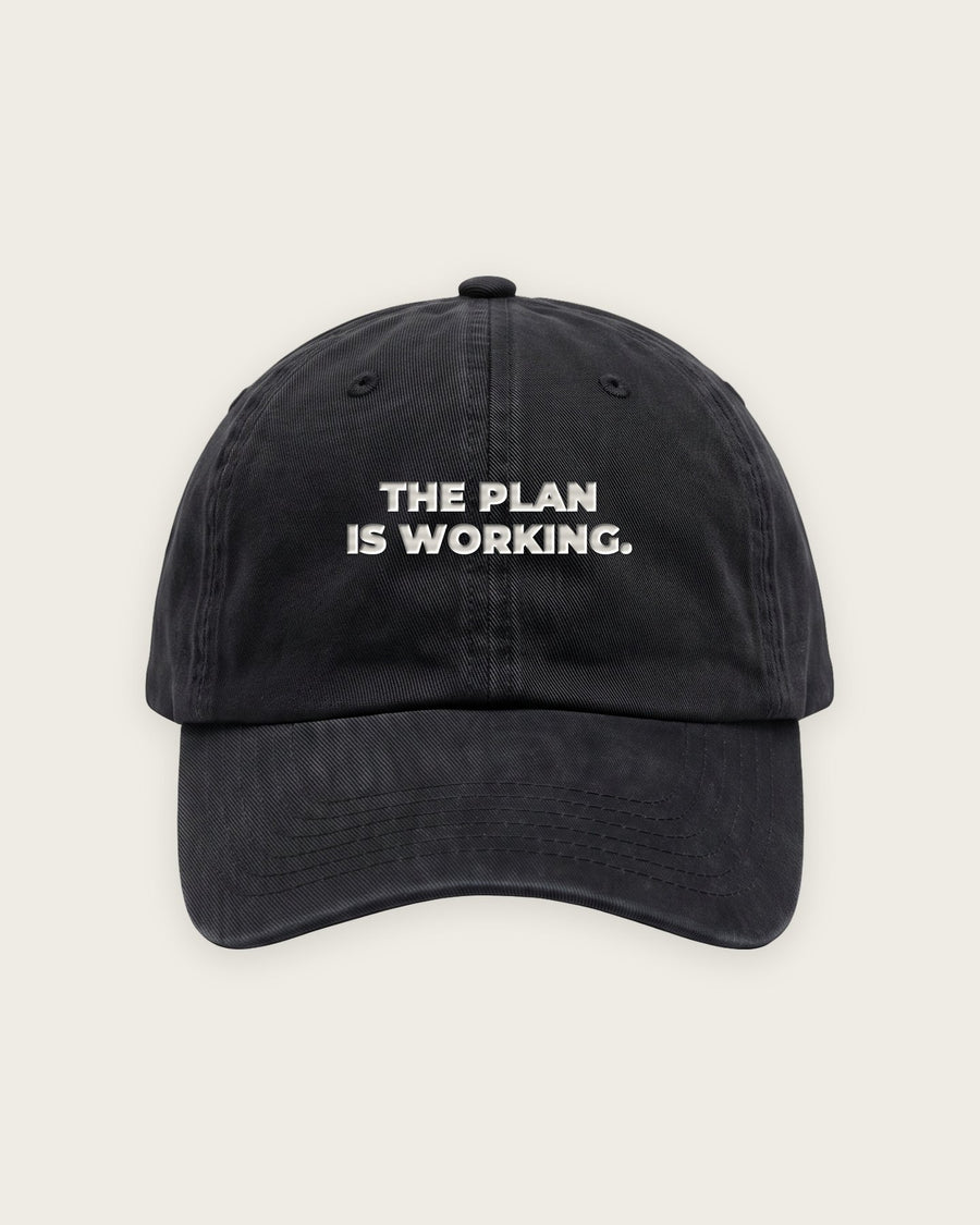 Boné Dad Hat “The Plan Is Working”